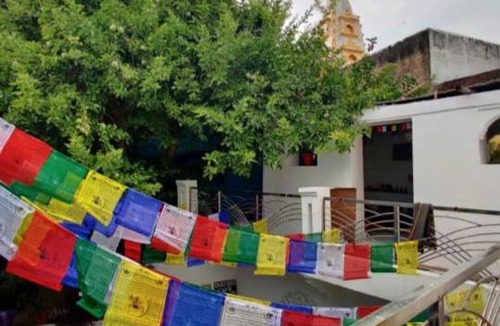 Pushkar Hostel | Aanand palace hostel