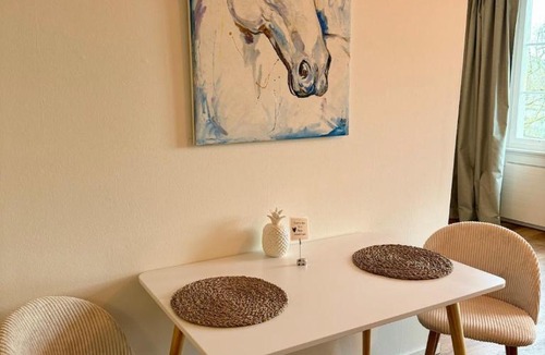 Solothurn Apartment | Aarebar Rooms