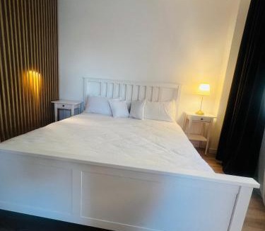 Alba Iulia Apartment | AAS Vibe