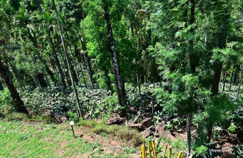 Samse House | Aayana Valley