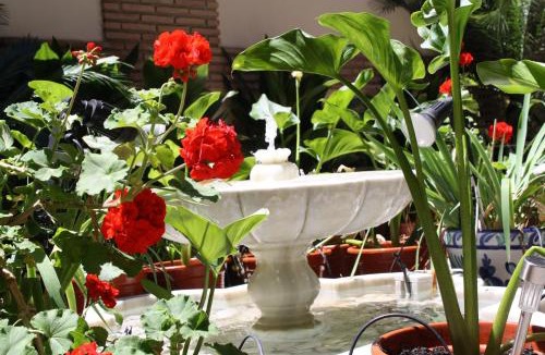 Centro - Sagrario Hotel | Abadía Hotel