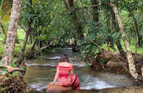 Kunnathidavaka Hotel | Abad Brookside Wayanad