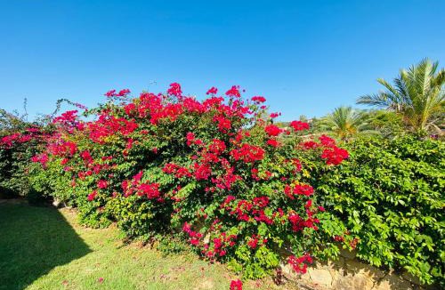 Tertenia Resort | Abba Urci