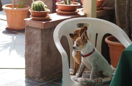 Bosa Apartment | Abbamala Village