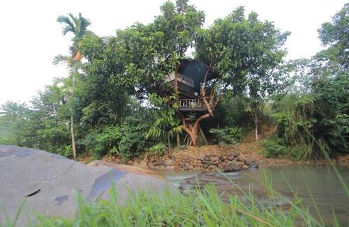 Padang Hotel | Abe tree house