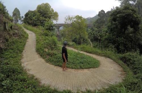 Padang Hotel | Abe tree house
