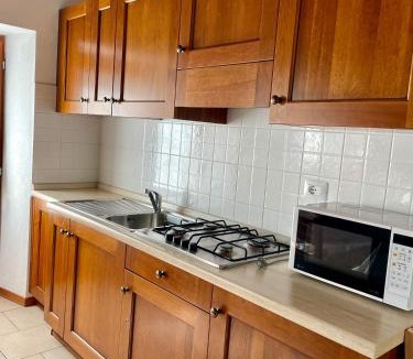 Champorcher Apartment | Abri Vigneroisa appartamento Miserin