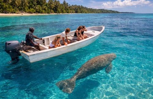 Aore Island House | Absolute Beachfront with cultural Tours Aore Island