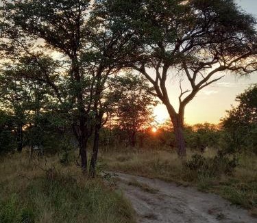 Mokhokhelo Other | Acacia Camping