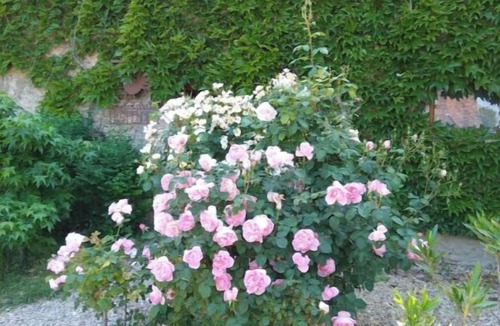 La Celle House | Accommodation center France Les plumes: up to 6 people