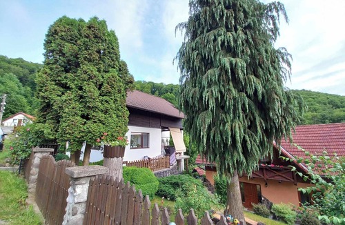Sovata House | Accommodation in Sovata-Băi - peace, comfort and a view of the forest!