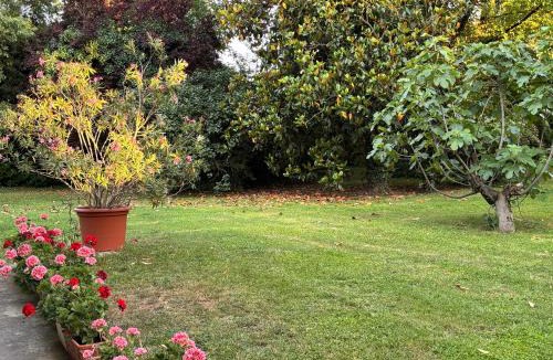 Scarzara Bed & Breakfast | Acero Giallo