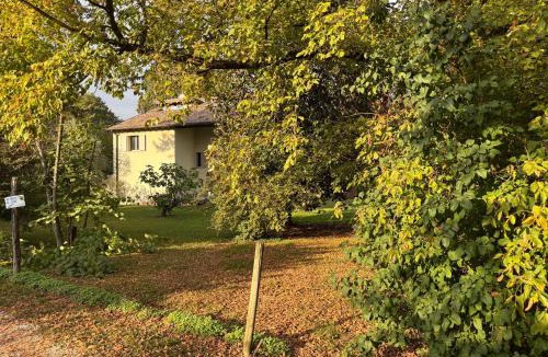 Scarzara Bed & Breakfast | Acero Giallo