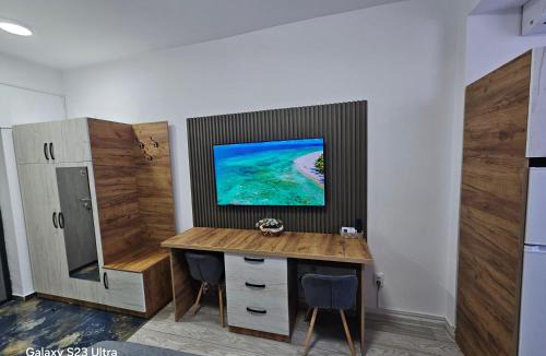 Onesti Apartment | AchiDav 135