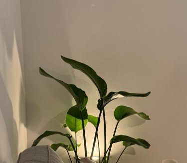 Khalkis Apartment | Achinoeè