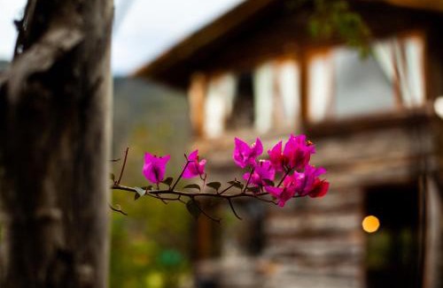 Villa de Leyva House | "Acogedora Cabaña Ojo de Agua en Villa de Leyva -Vistas Increíbles de las Montañas Iguaque!