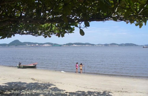 Coqueiros Apartment | Aconchegante Kitnete 1 dormitorio ,100. m do mar Florianopolis