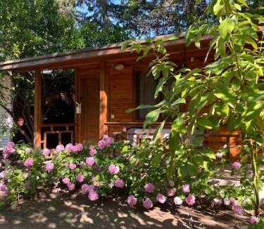 Olympos House | Adabella Pension