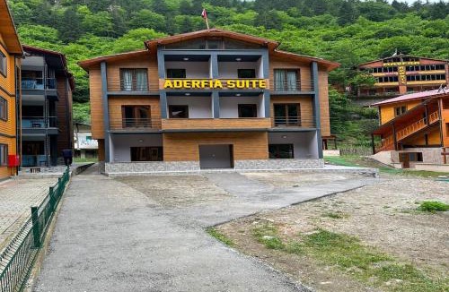 Uzungol Apartment | Aderfia Suite