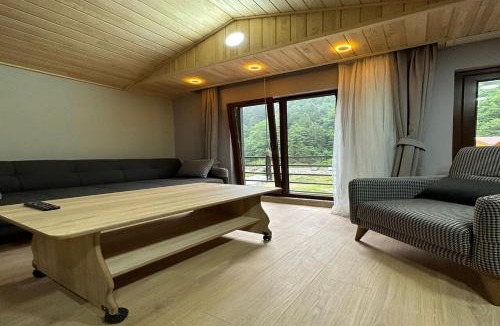 Uzungol Apartment | Aderfia Suite