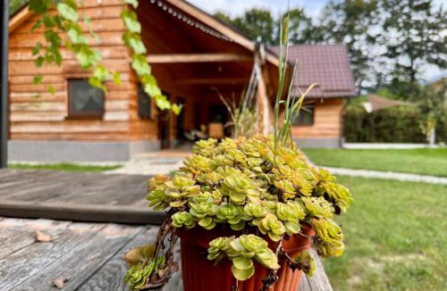 Avrig Villa | ADORA River Retreat