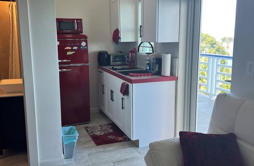 Estate Misgunst Apartment | Adorable Efficiency Apt. with AC in beautiful St Thomas with spectacular views.