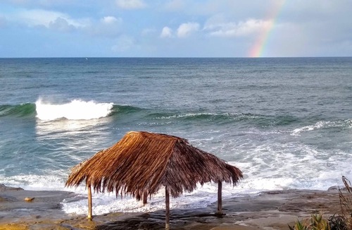 Beach Barber Tract Cottage | Adorable studio cottage just 4 blocks to Windansea beach with private yard