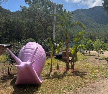 Adrasan Other | Adrasan Camping