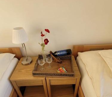 Mosvik Apartment | Adventure house Katrine
