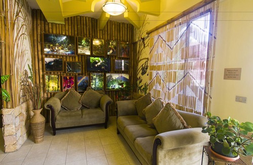Ciudad Cariari Hotel | Adventure Inn