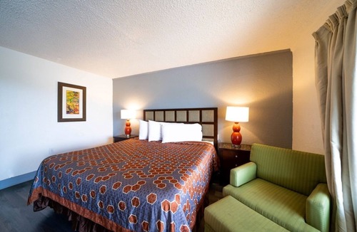 Ocala Hotel | Adventurous Comfort: Pet-Friendly Room Near Silver Springs