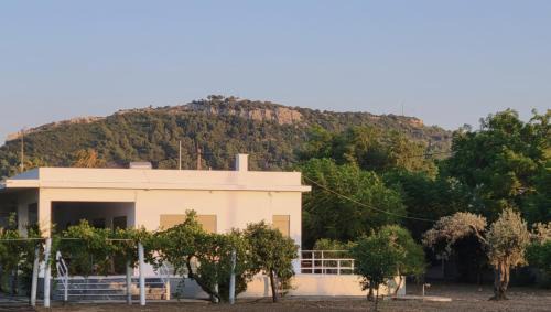Faliraki Villa | Aegean Villa & Garden in Faliraki