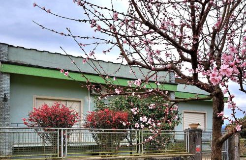 Castelvecchio Pascoli House | Affittacamere La Foresta di Sopra
