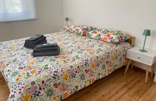 Venzone House | Affittacamere Torrione