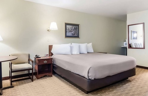 Aberdeen Hotel | Affordability Meets Comfort at GuestHouse Montesano! Free Parking, Pets Allowed