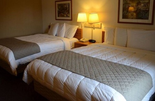 Thorp House | Affordable Getaway! 4 Pet-Friendly Units, Free Breakfast & Free Parking