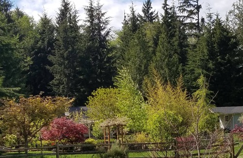 Silverdale House | Affordable Private Guest House