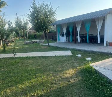 Baia de Fier Ski Chalet | Aframe -Melissa
