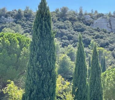 Les Baux-de-Provence Villa | Agapi Mou