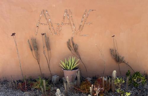 Prince Albert House | AGAVE HOUSE