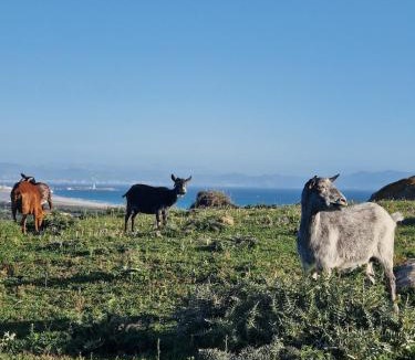 Tarifa Other | Agradable minicasa con vistas al Estrecho