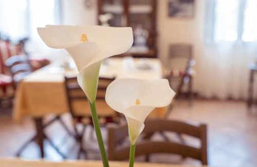 Bellombra Bed & Breakfast | AgriB&B Corte Burchio