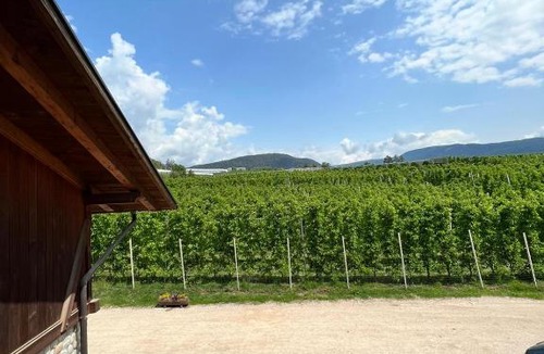 Brez House | Agritur Maso Forcola