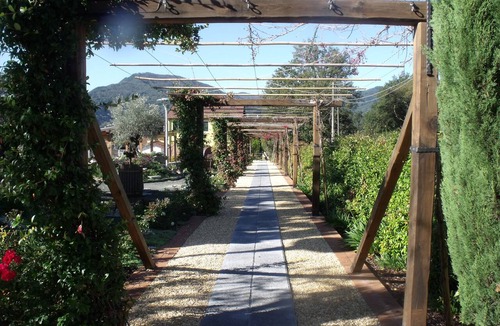 Masero Other | Agriturismo Podere Montese