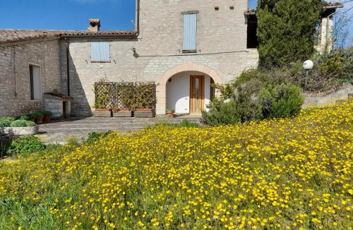 Acqualagna Apartment | Agriturismo del Frontino - Lo Studio
