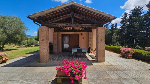 Scansano House | Agriturismo Diaccialone