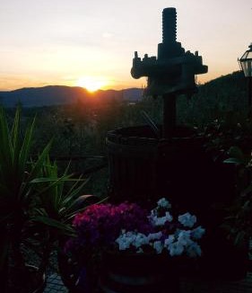 Castelfranco di Sopra House | Agriturismo La Casuccia