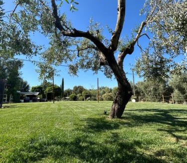 Montorsaio House | Agriturismo La Quercia - Wine&Pool
