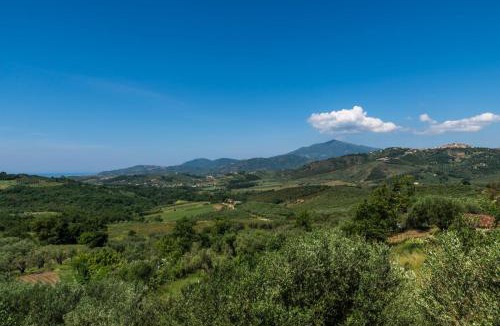 Ceraso House | Agriturismo Musto