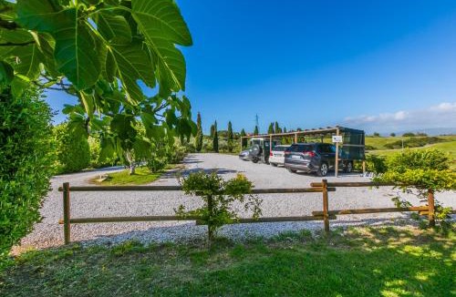 Rosignano Marittimo Apartment | Agriturismo Podere La Maestà